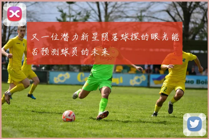 又一位潜力新星陨落球探的眼光能否预测球员的未来